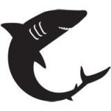 sharkcon