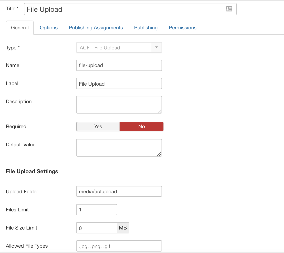 File upload custom field