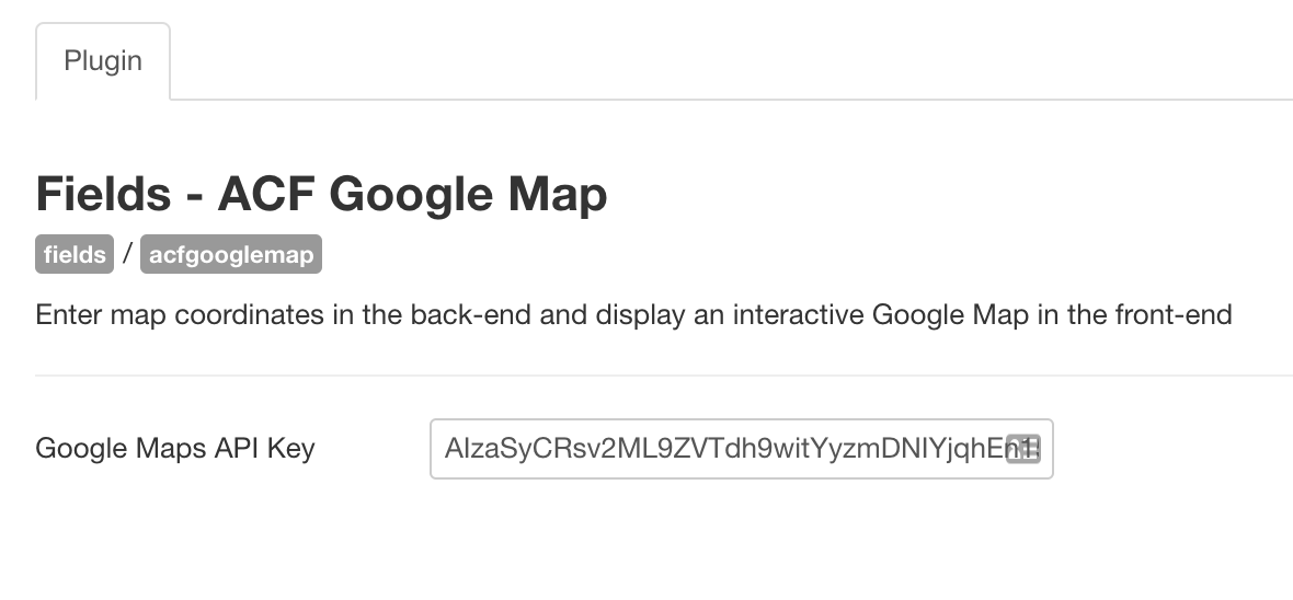 Google map API custom field