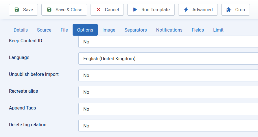 Import Template Joomla Content Options